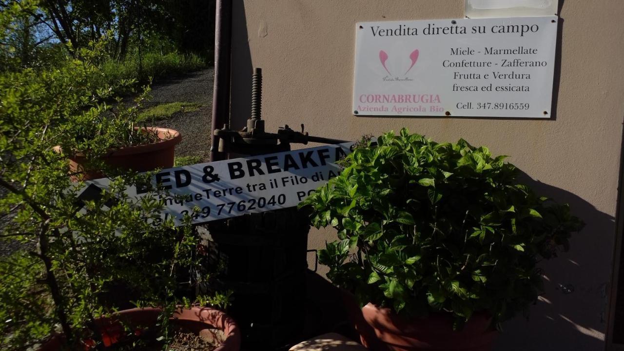 Cinque Terre Tra Il Filo Di Arianna Bed & Breakfast Riccò del Golfo di Spezia Eksteriør bilde